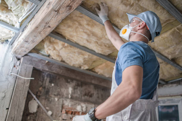 Best Geographic-Specific Insulation Services in Mineral Wells, TX