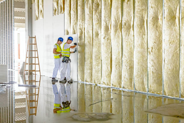 Best Residential Insulation in Mineral Wells, TX